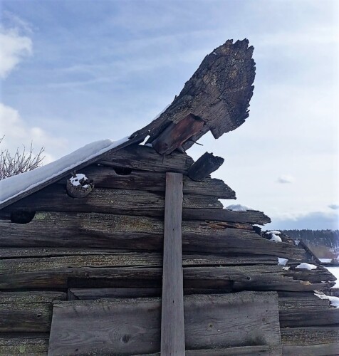 конек